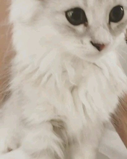 cute❤