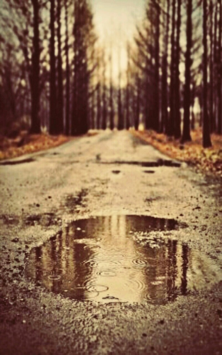 i love rain