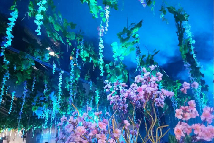 blue lights