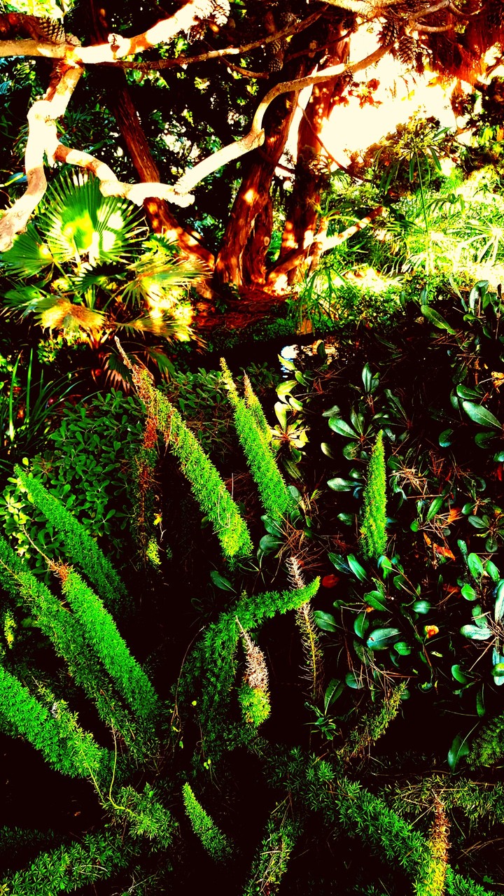 Realization Garden