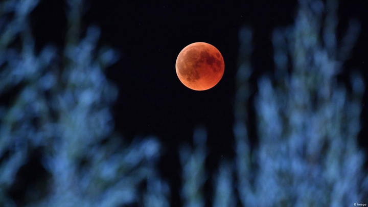 Bloody Moon