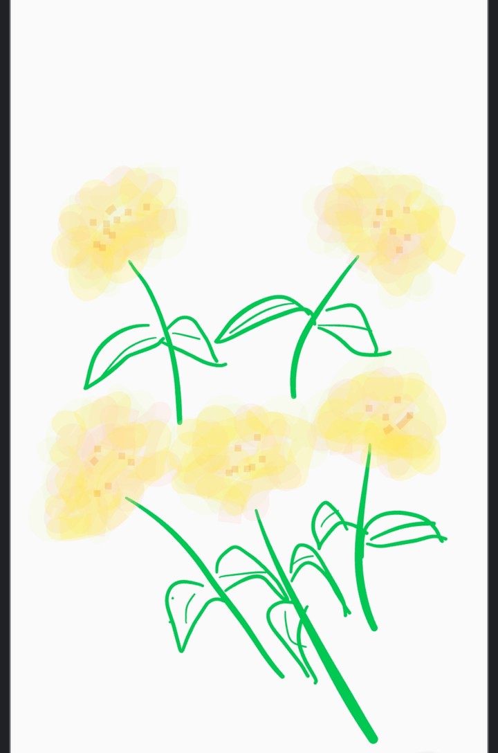 marigold