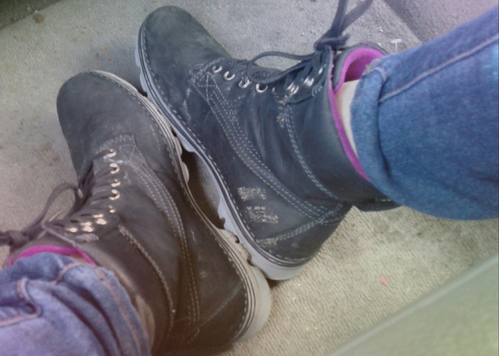Timberlands