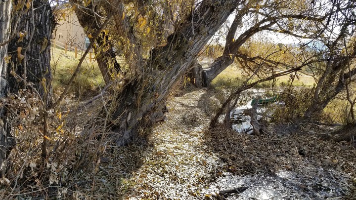 creek