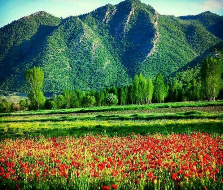 Beautiful nature of Kurdistan