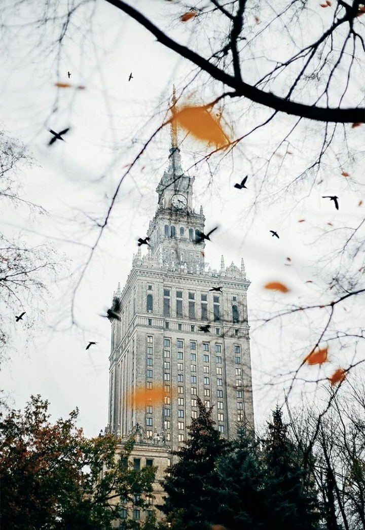 Pałac Kultury
