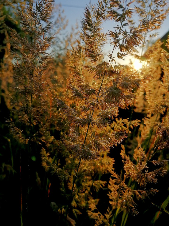 лучи