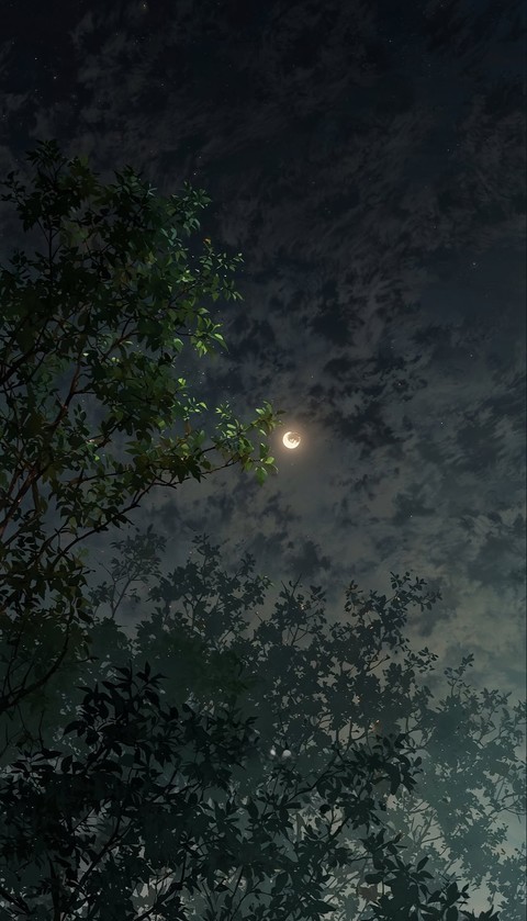sfondi love, moonlight
