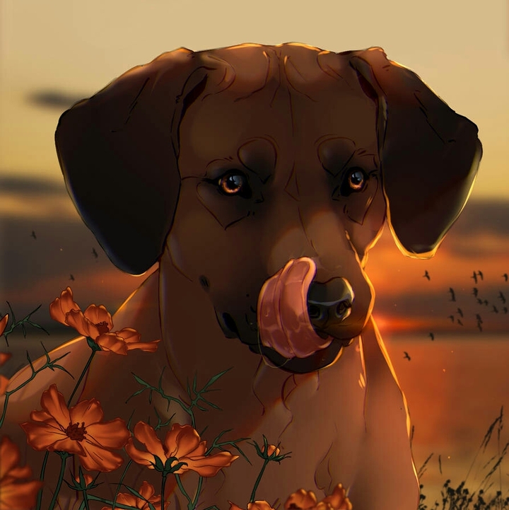 /