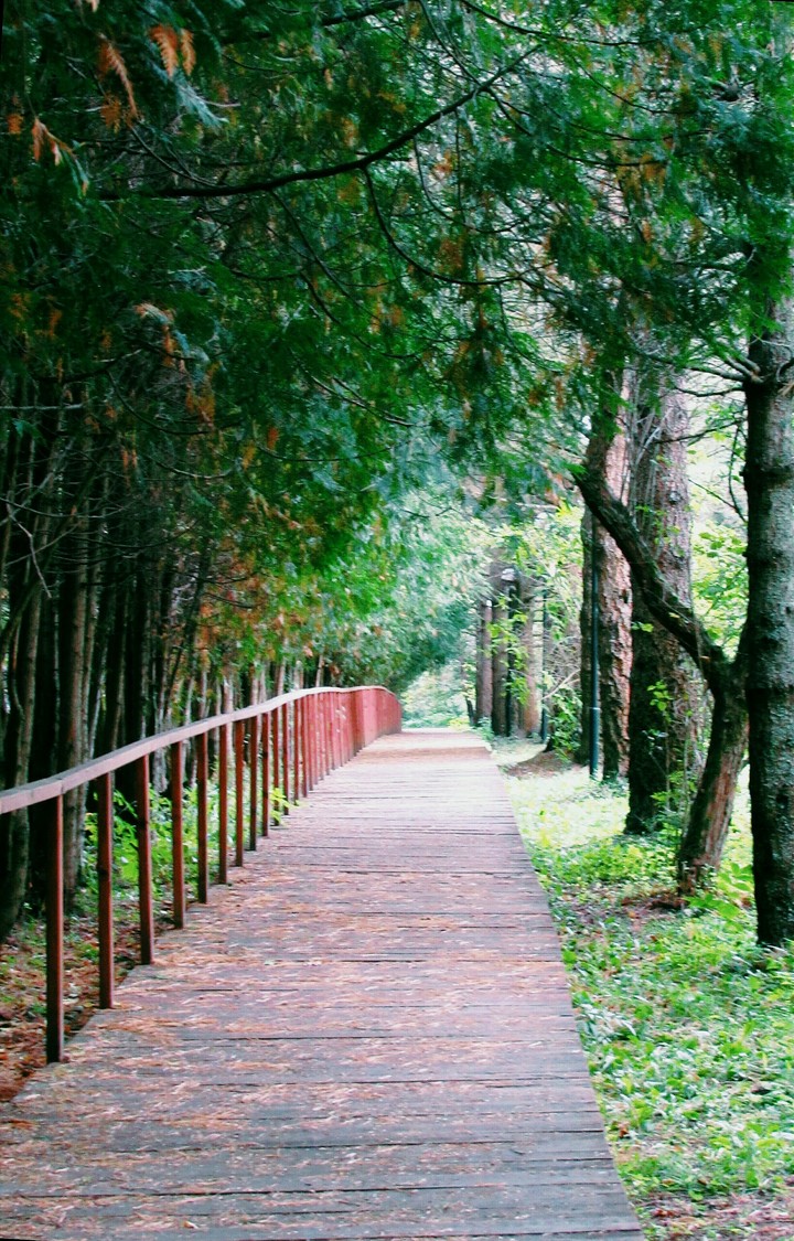 Road
