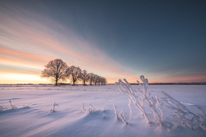snow desert