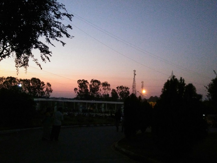 evenings