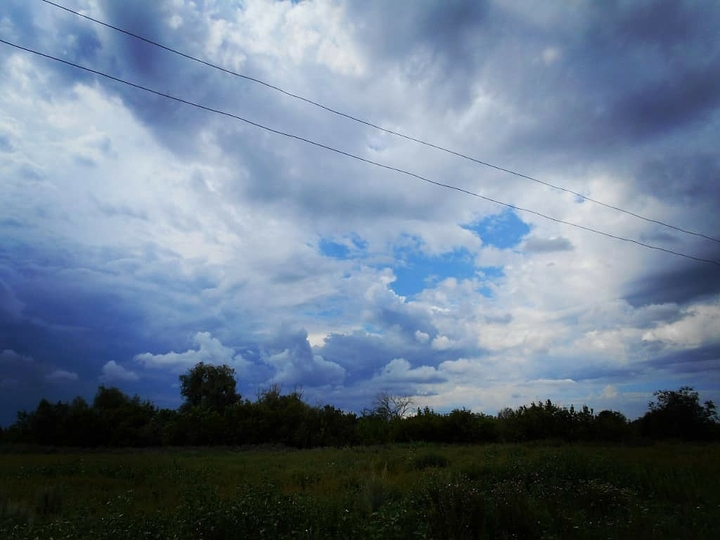 nature