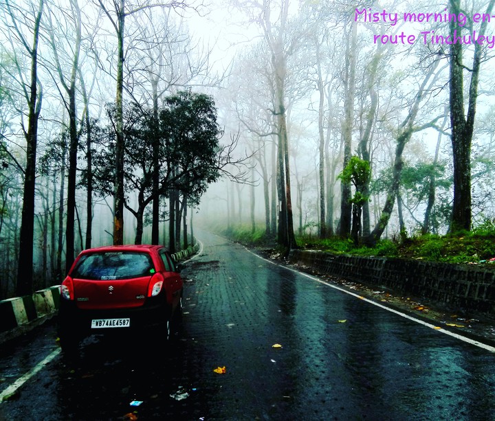 misty morning