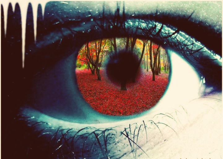 A reflection in ones eye!