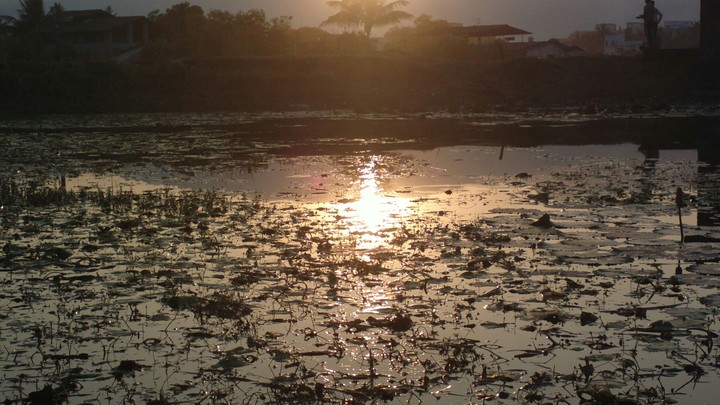 lake point sunset