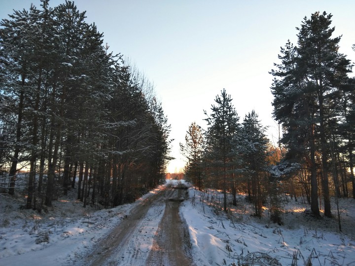 Winter