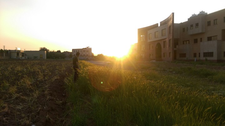 School of Veterinary Medicine Razi University of Kermanshah