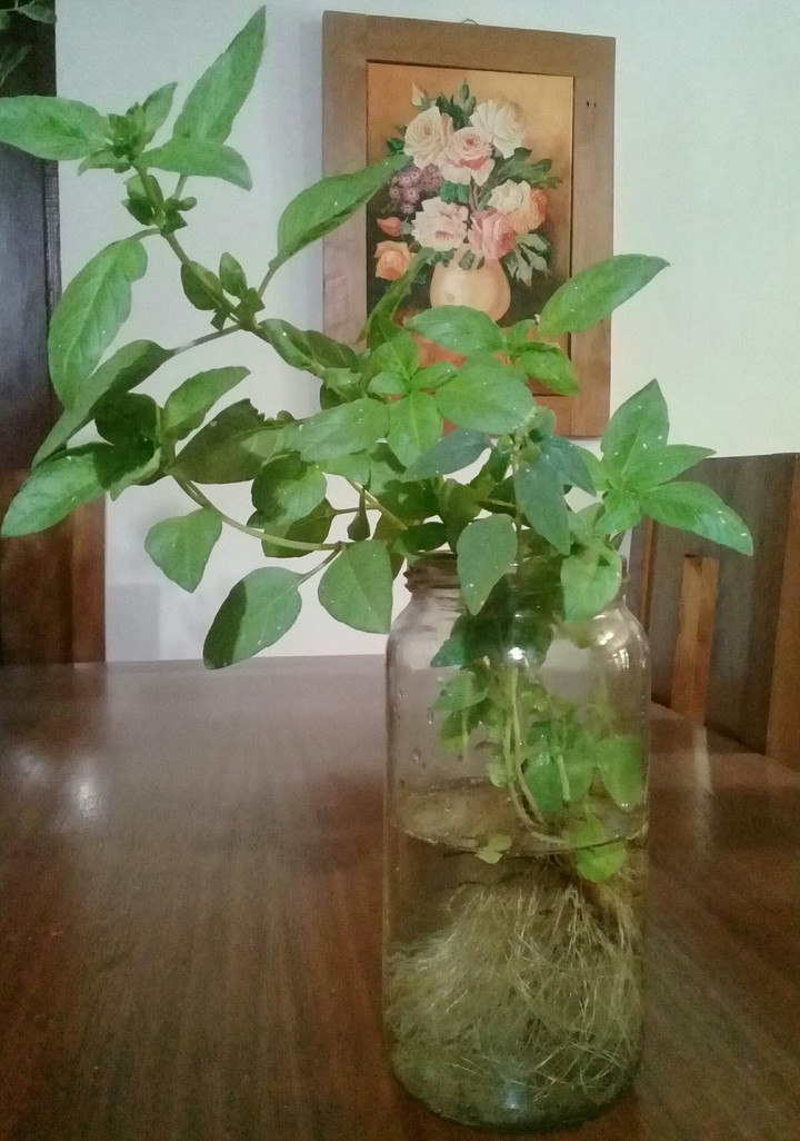 mi casa