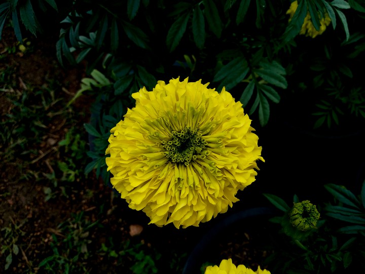 beauty of nature