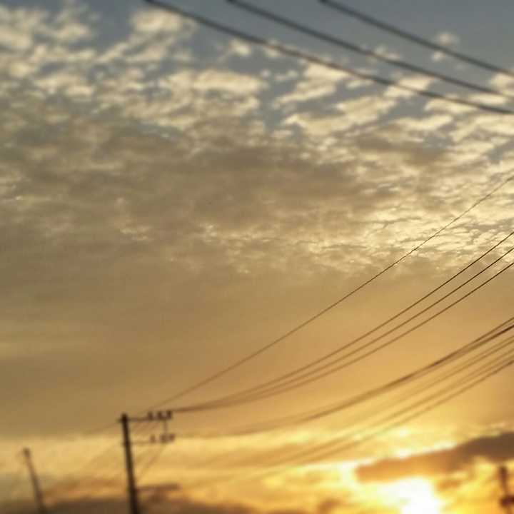 dusk