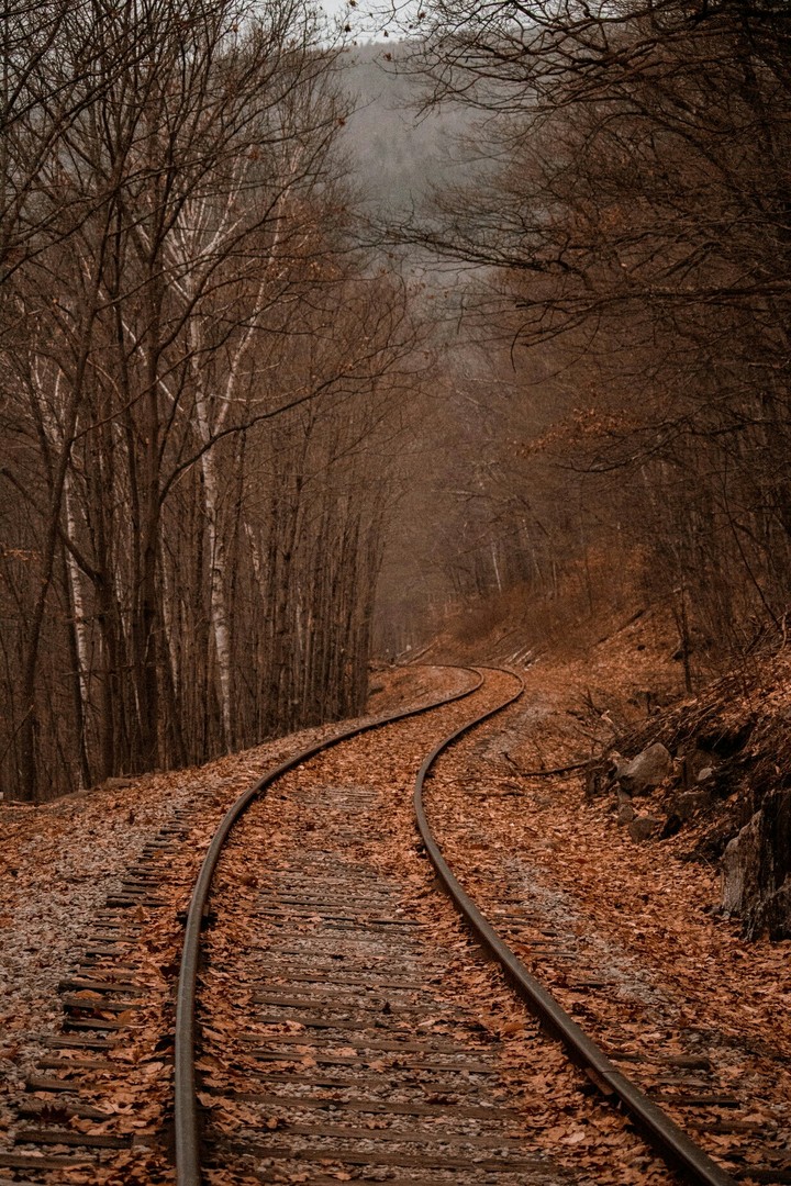 Track .....