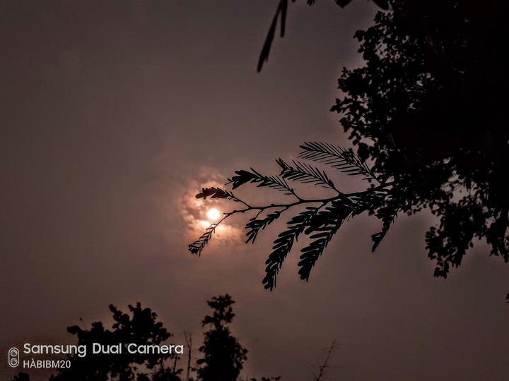 sun