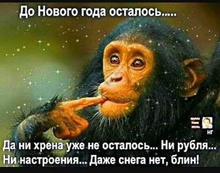 жизнь