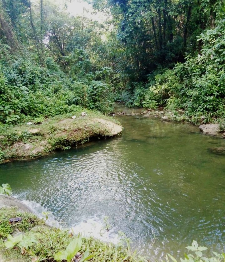 River
