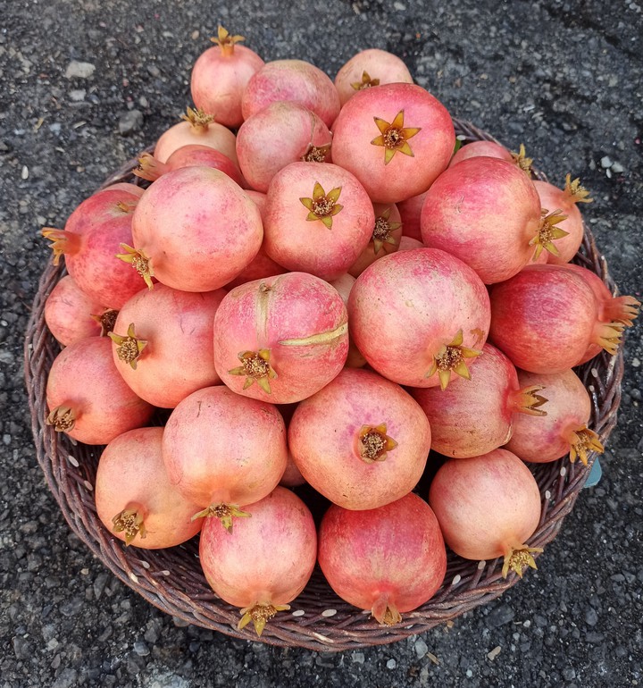 pomegranate