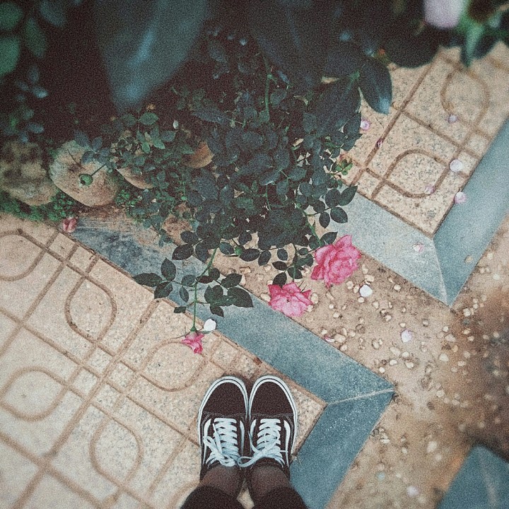 vans