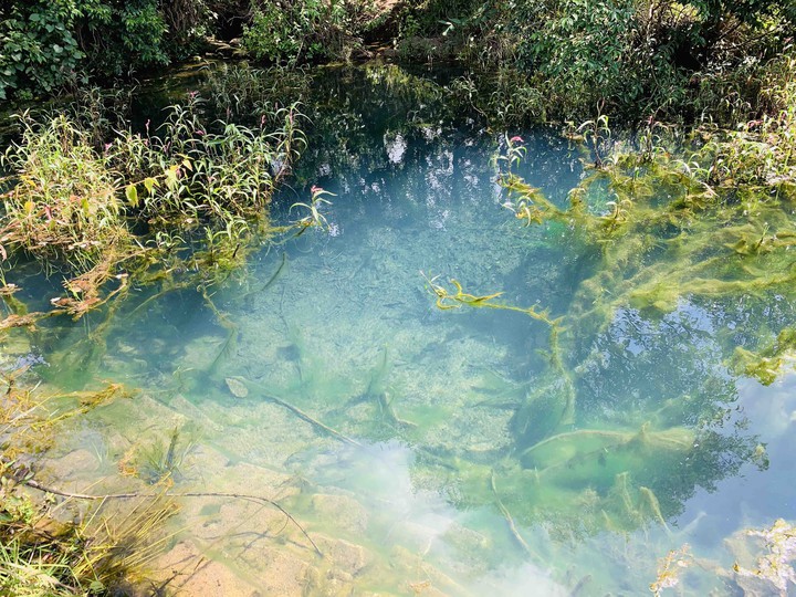 Crystal Water