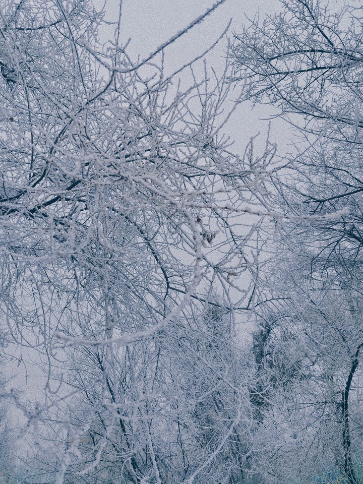snow