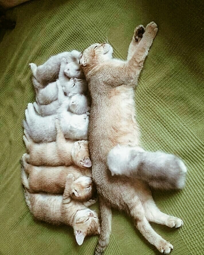 passion