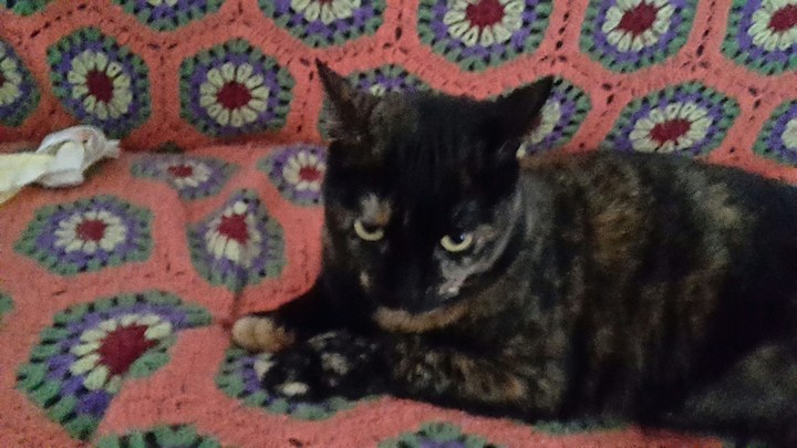 chikitas Sofa