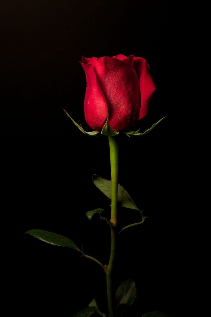 ❤
