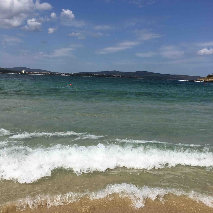 only one word SEA