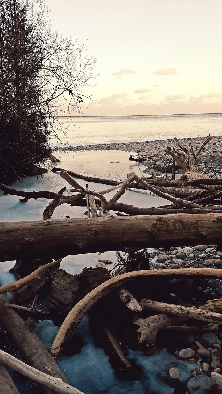 Lakeshore Pathway
