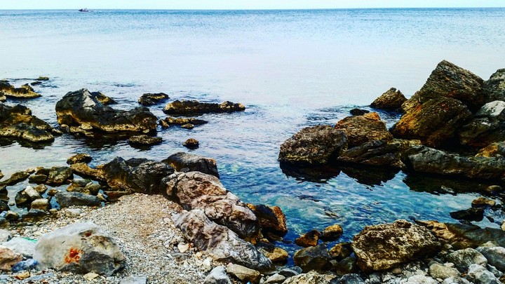 Sea, rocks and details