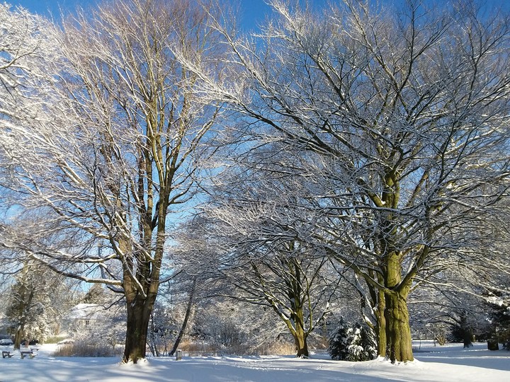 Winterwonderland