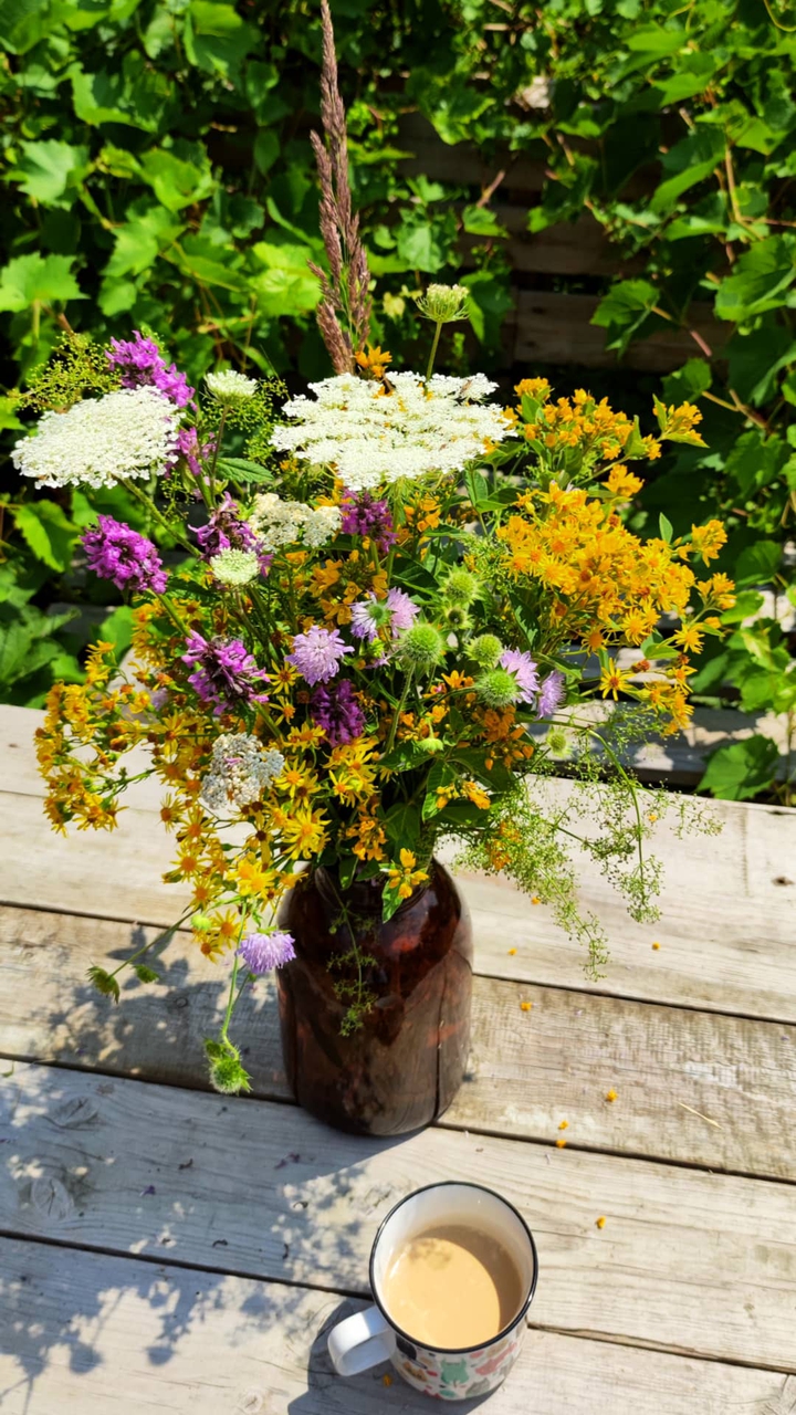 summer flowers