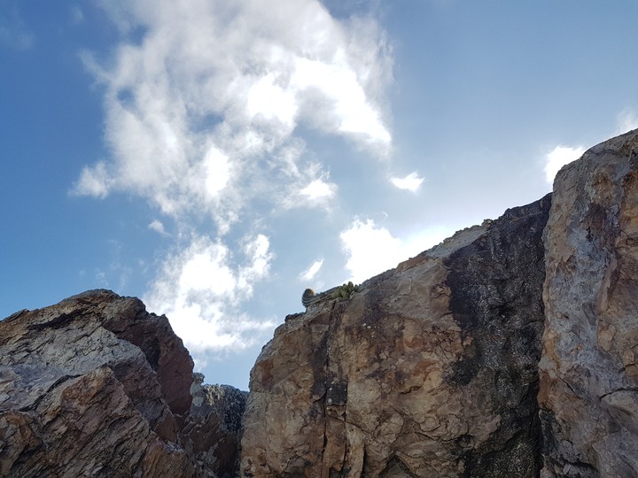 rocks