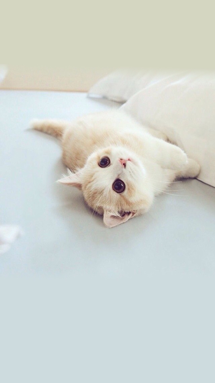 cute
