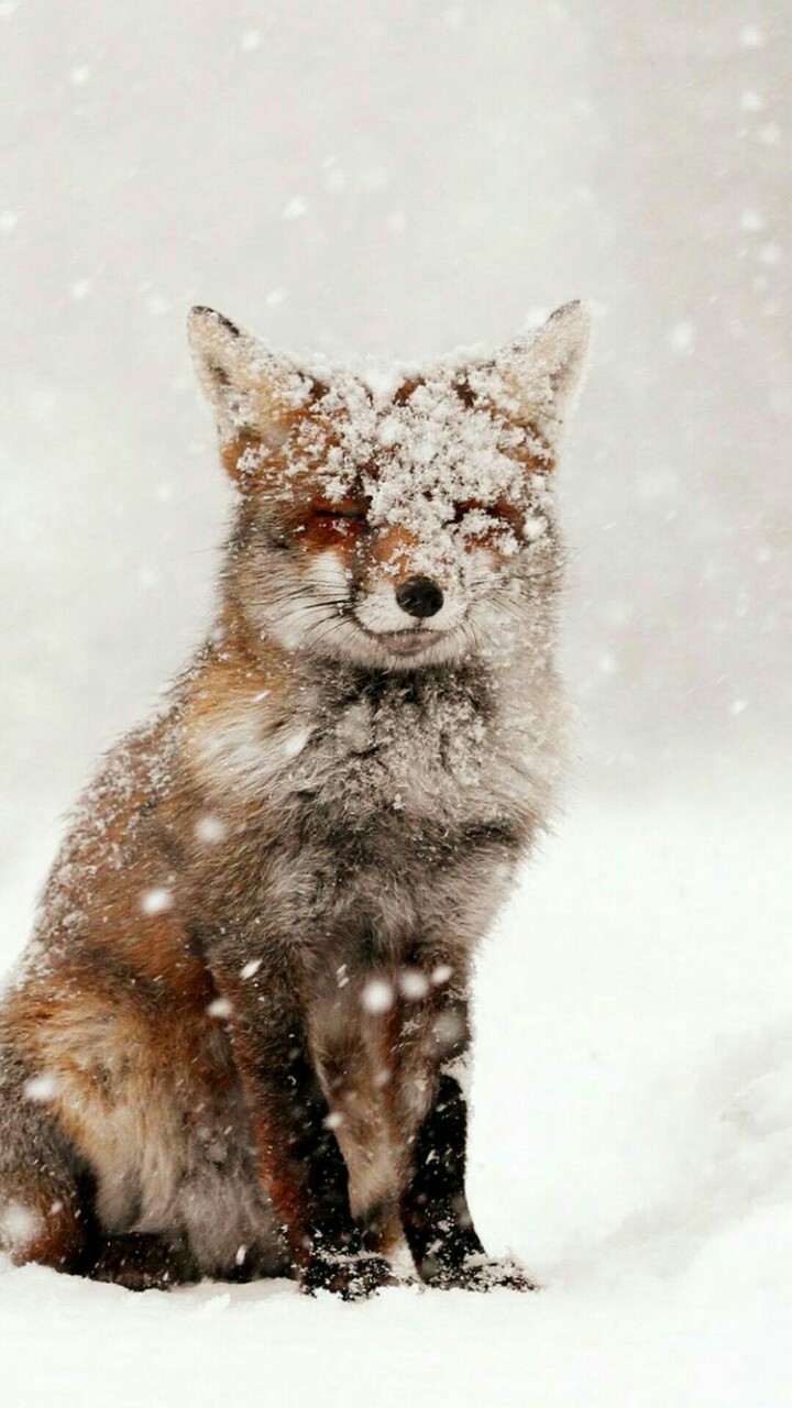Trop mignon ❤