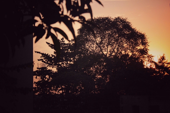 sunset