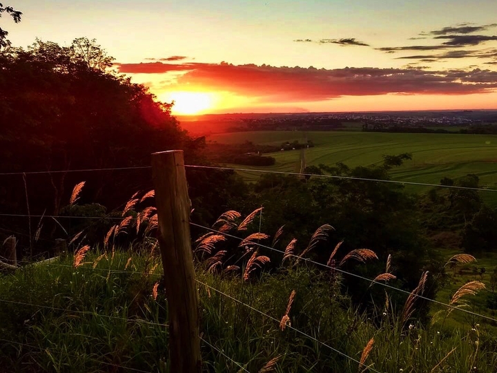 Coisas do meu Paraná