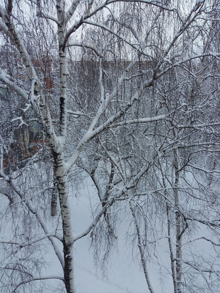 зима