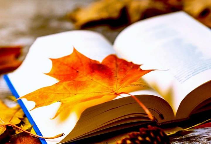 Autumn leaves