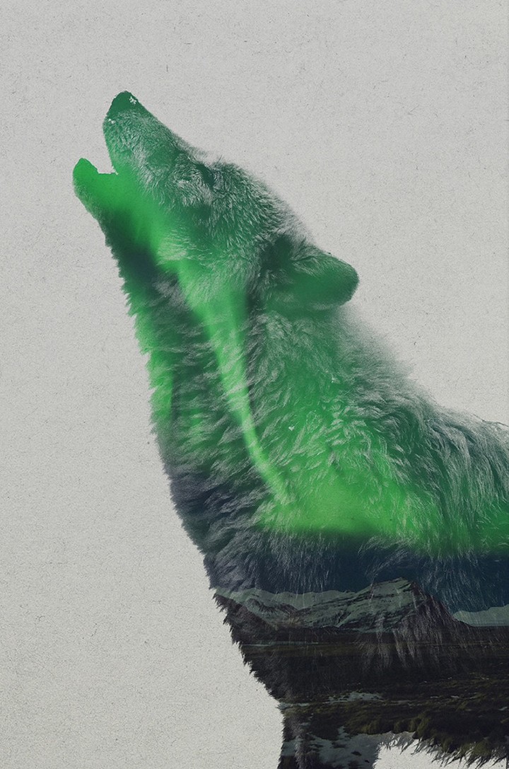 Northern Lights