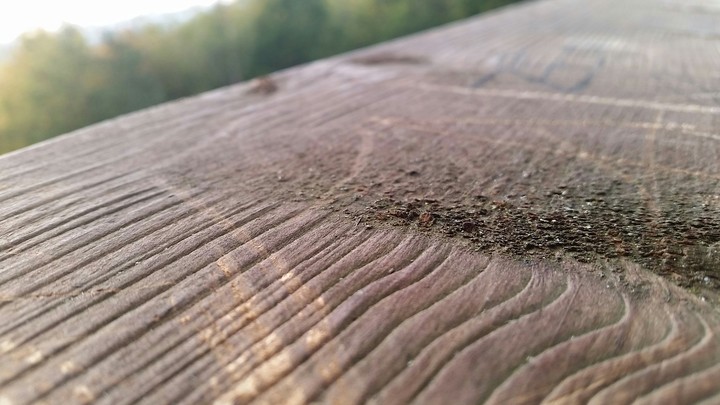 wood fiber